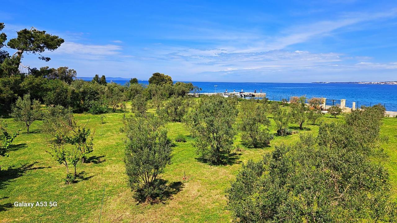 Villa Rosemary Park Задар Экстерьер фото